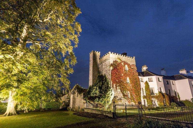 Barberstown Castle Hotel Straffan Bagian luar foto