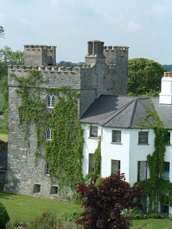 Barberstown Castle Hotel Straffan Bagian luar foto